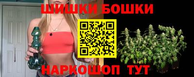 индика Гай