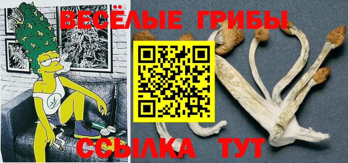 Псилоцибиновые грибы ЛСД Дедовск