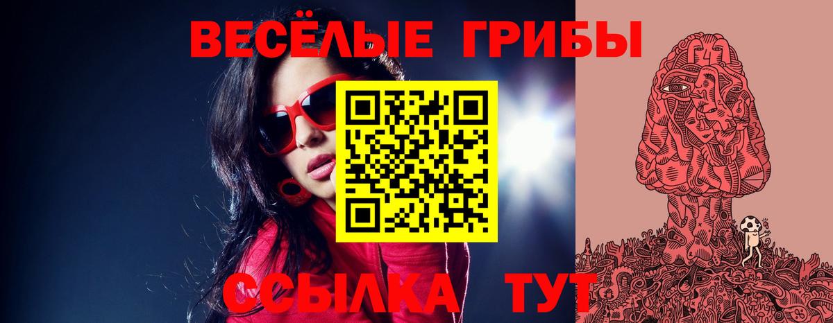 Дедовск  Псилоцибиновые грибы Psilocybine cubensis  Вход с VPN 